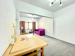 Cozy large apartment with work space